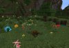 XBXL Flowers.jpg