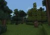 Rubber Tree.jpg