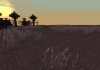 wasteland.jpg