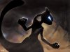 Mewtwo (2).jpg