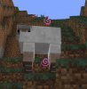 Sheep2.jpg