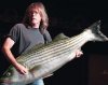 Bass_player.JPG