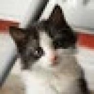 return_null