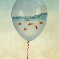 Balloon Fish