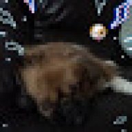 Monkeybeast561