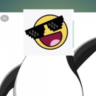 terrlol