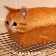 Killerqu00