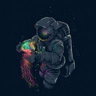 Portal067337