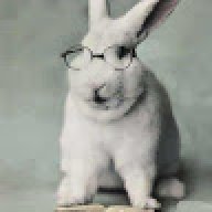 Bunni