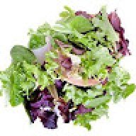 Salad_Greens