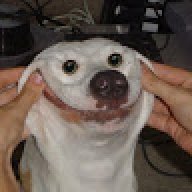 vXxDreanxXv