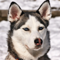 MaraGame03
