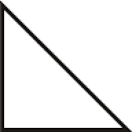 TheWhiteRice200