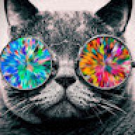 MR_Cat