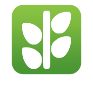 NGOCTRINH213