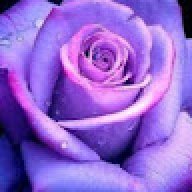 twotonerose