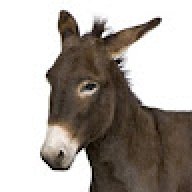 JasperDeEzel