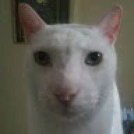 rushii
