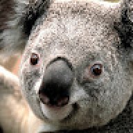pummeldruff