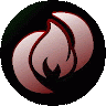 TracerBuzz