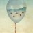 Balloon Fish