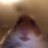 Torbgy