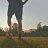 Samot_727