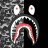 AshR12_