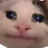 Transduin