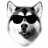 kendallthetestaccount