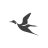 IDuckz_