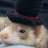 Timetravelingferret