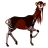 JustAnOkapi