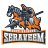 Seraveem