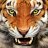 DutchTiger86