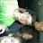 andrew072902