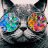 MR_Cat