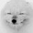 ArcticFoxMonolit